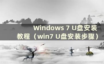 Windows 7 U盘安装教程（win7 U盘安装步骤）